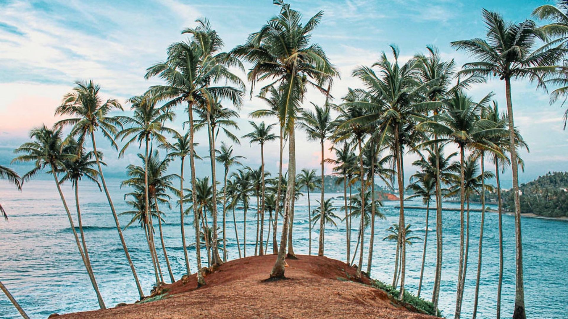 coconut-tree-hill-mirissa-sri-lanka