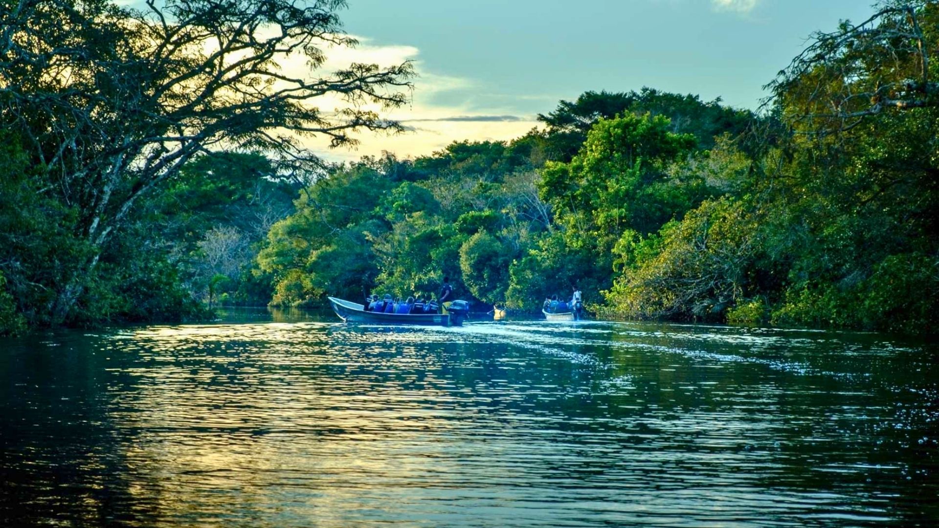 madu-river-mangrove-boat-safari-sri-lanka